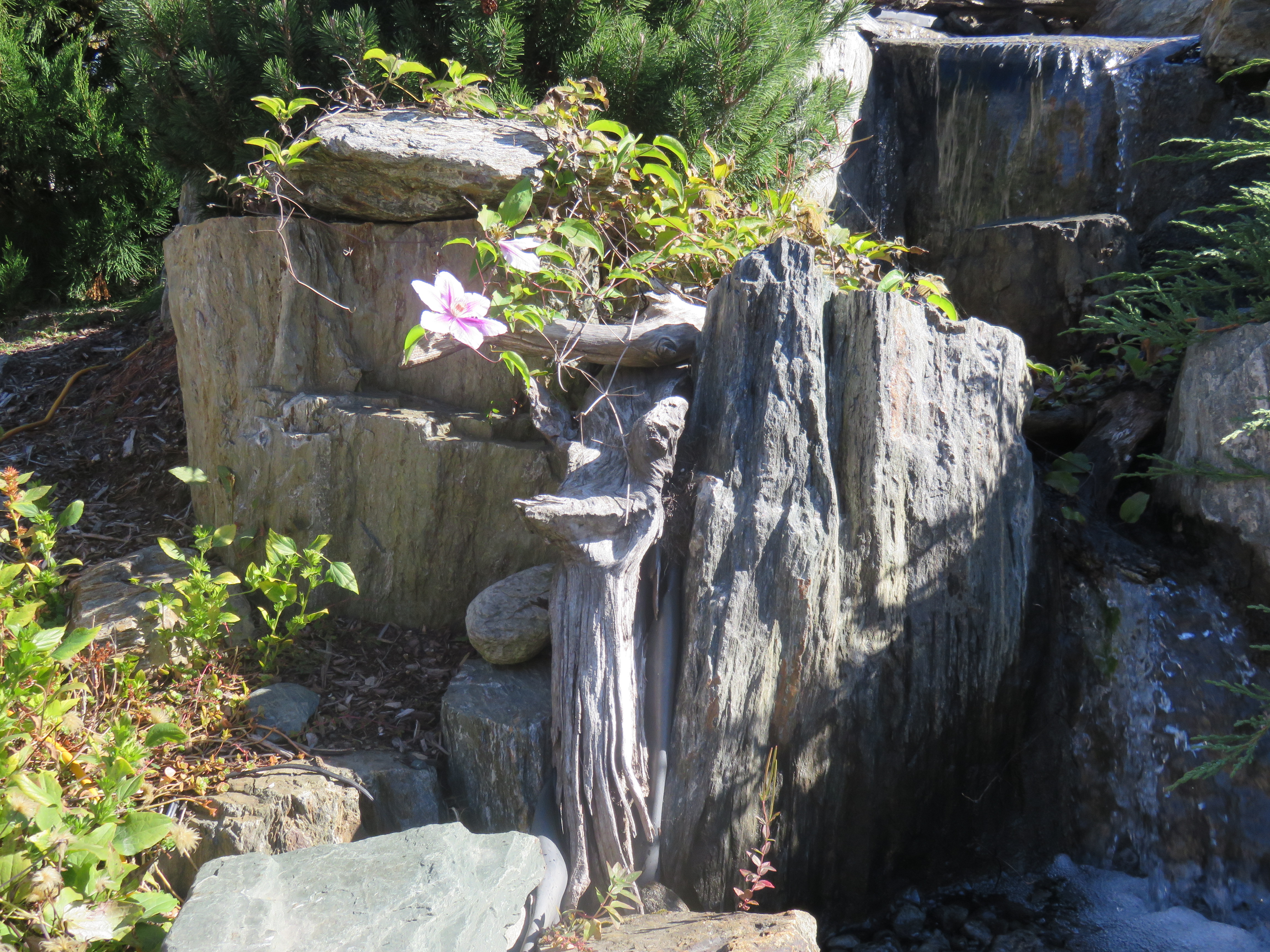 img_1933 Northern Nurseries Stone Center